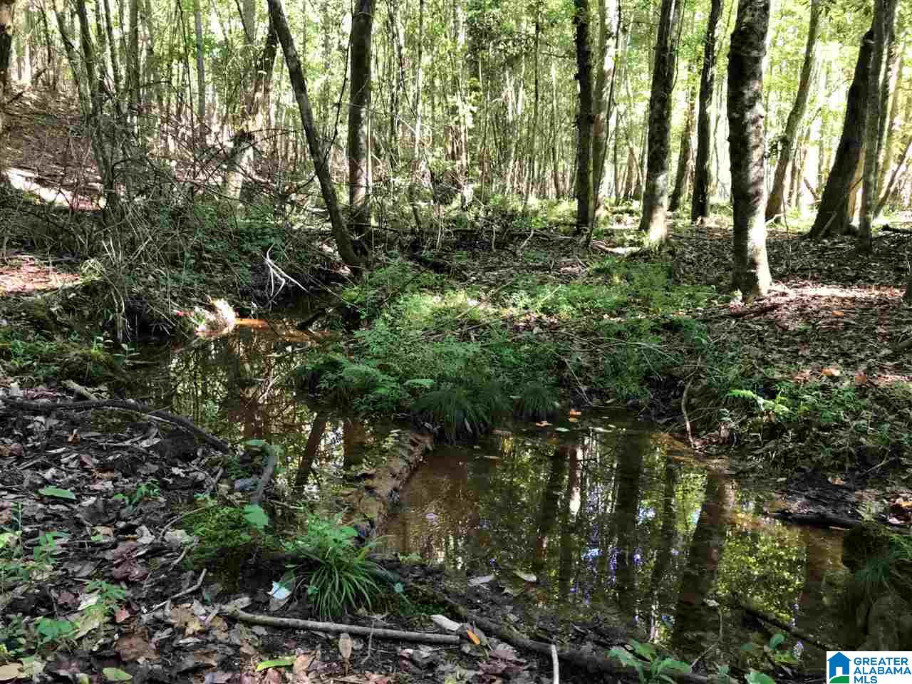 5425 East Mill Road Lineville, AL 36266 - Photo 43 of 50