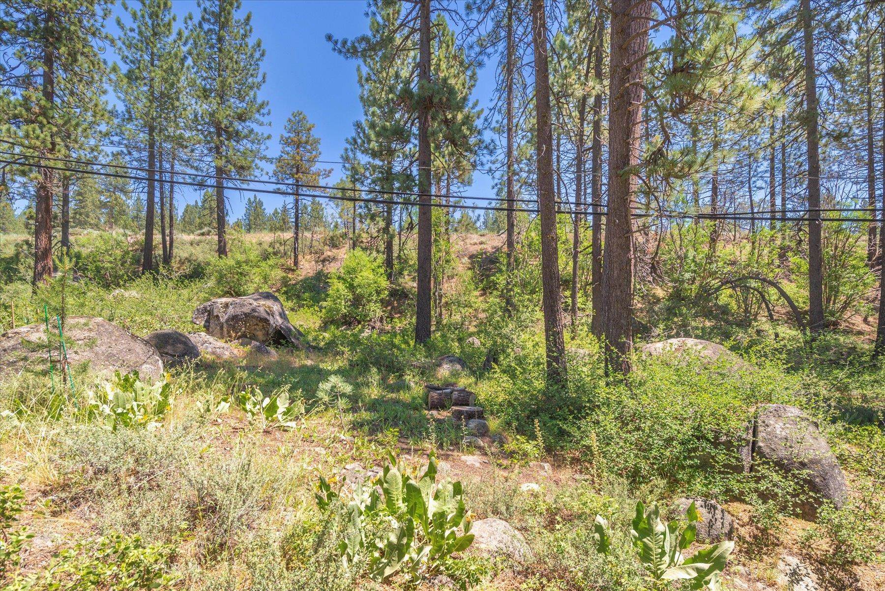 13020 Donner Pass Road Truckee, CA 96161 - Photo 13 of 18