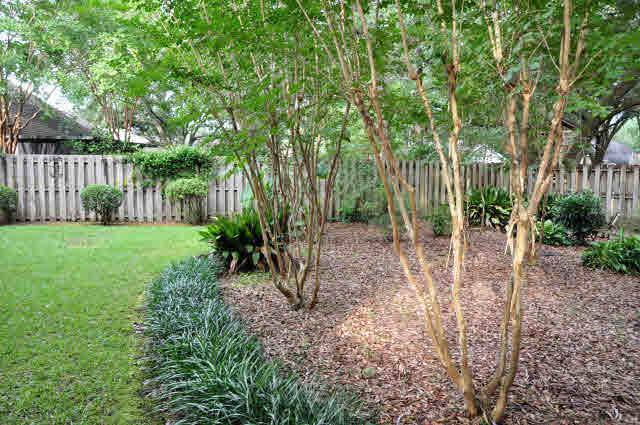 19781 Hunters Loop Fairhope, AL 36532 - Photo 25 of 26 Backyard 2
