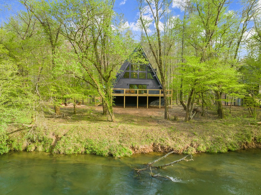 1723 Hogback Drive Blue Ridge, GA 30513 - Photo 48 of 54
