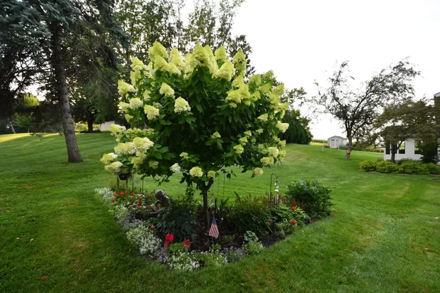 $519,900 | 17849 Wedgewood Drive, Zumbrota, MN 55992