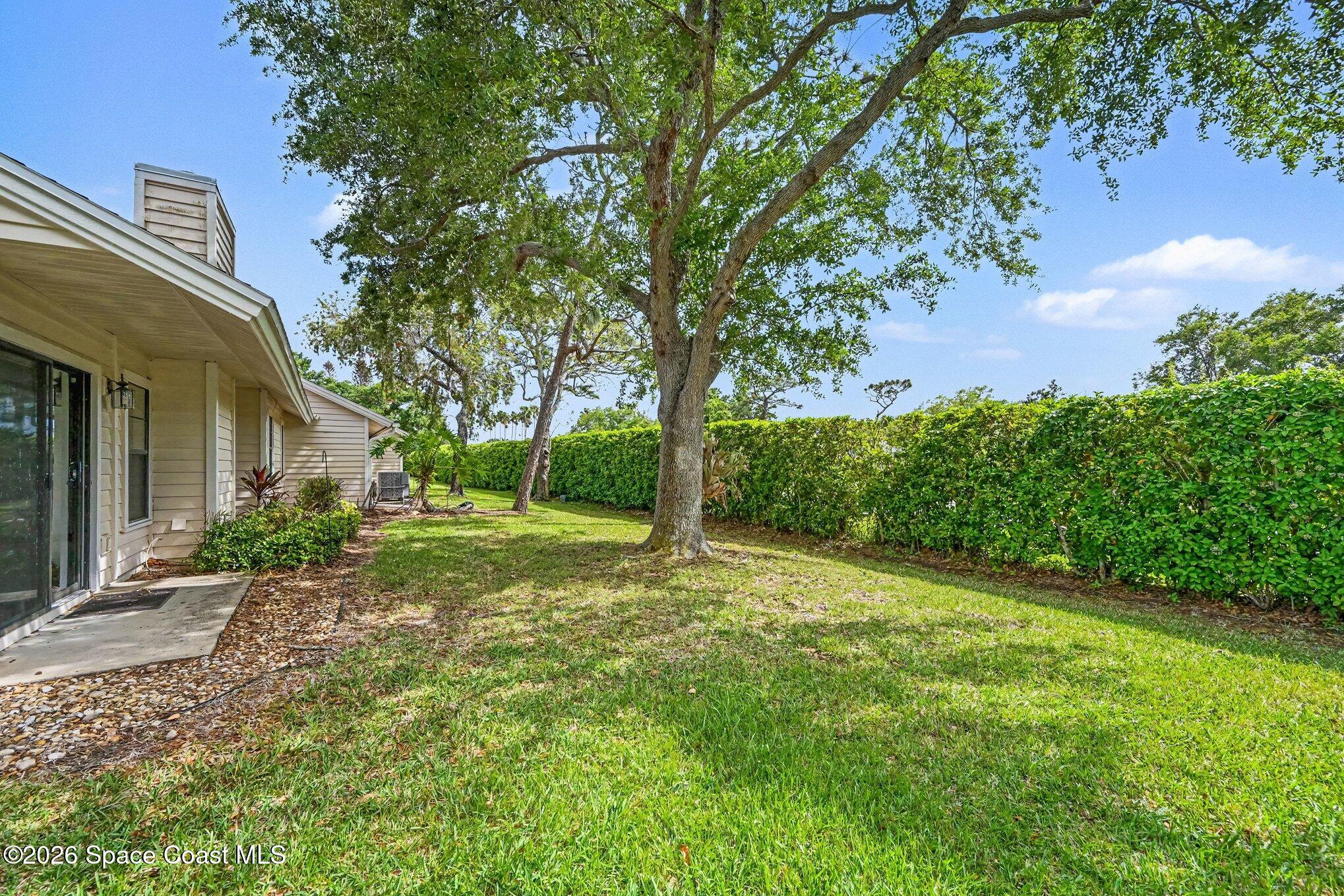 899 Ridge Lake Drive Melbourne, FL 32940 - Photo 26 of 34 a view of a big yard with plants and large trees