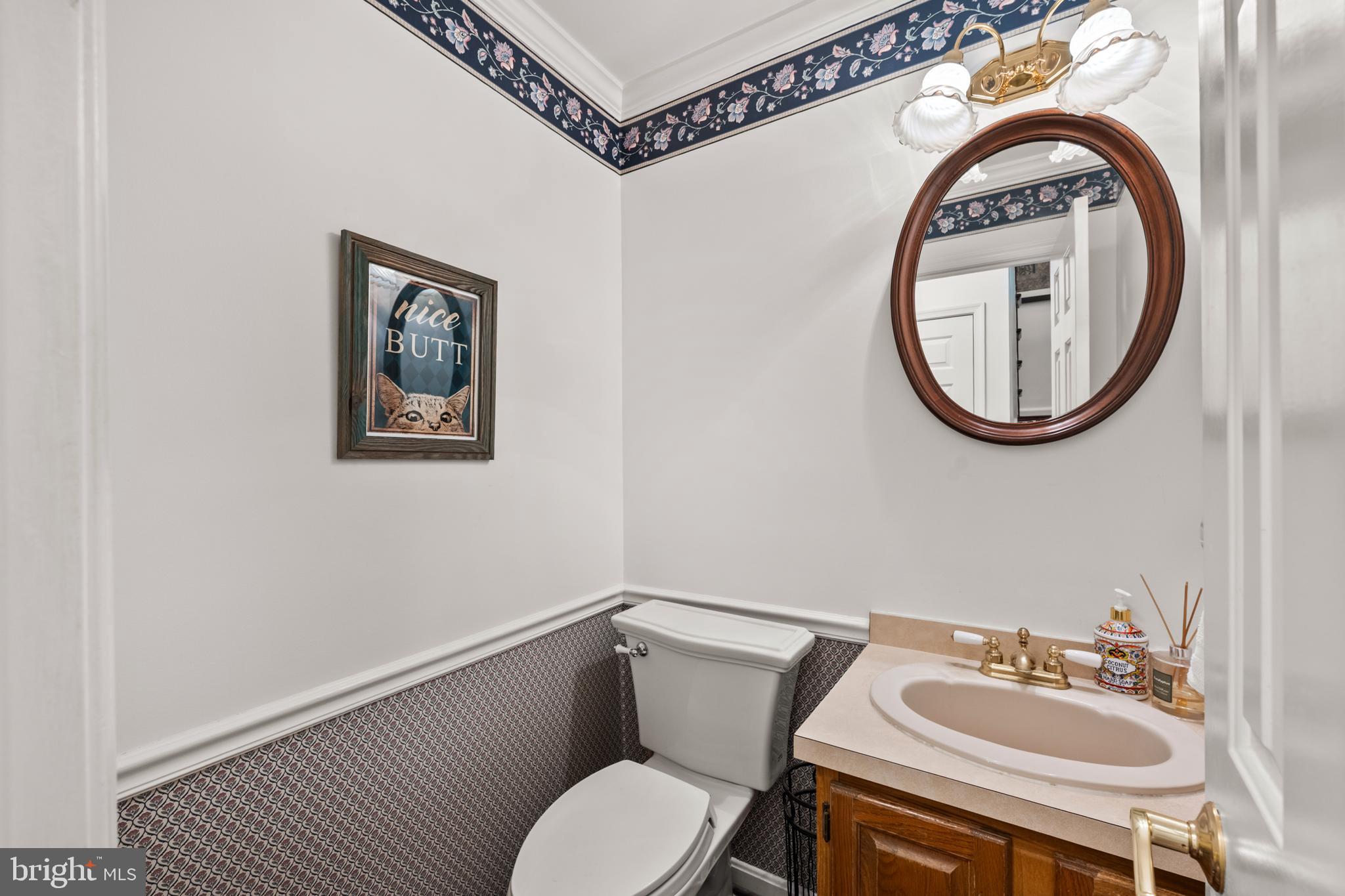 7362 Clifton Road Clifton, VA 20124 - Photo 15 of 53 a bathroom with a toilet a sink and a mirror