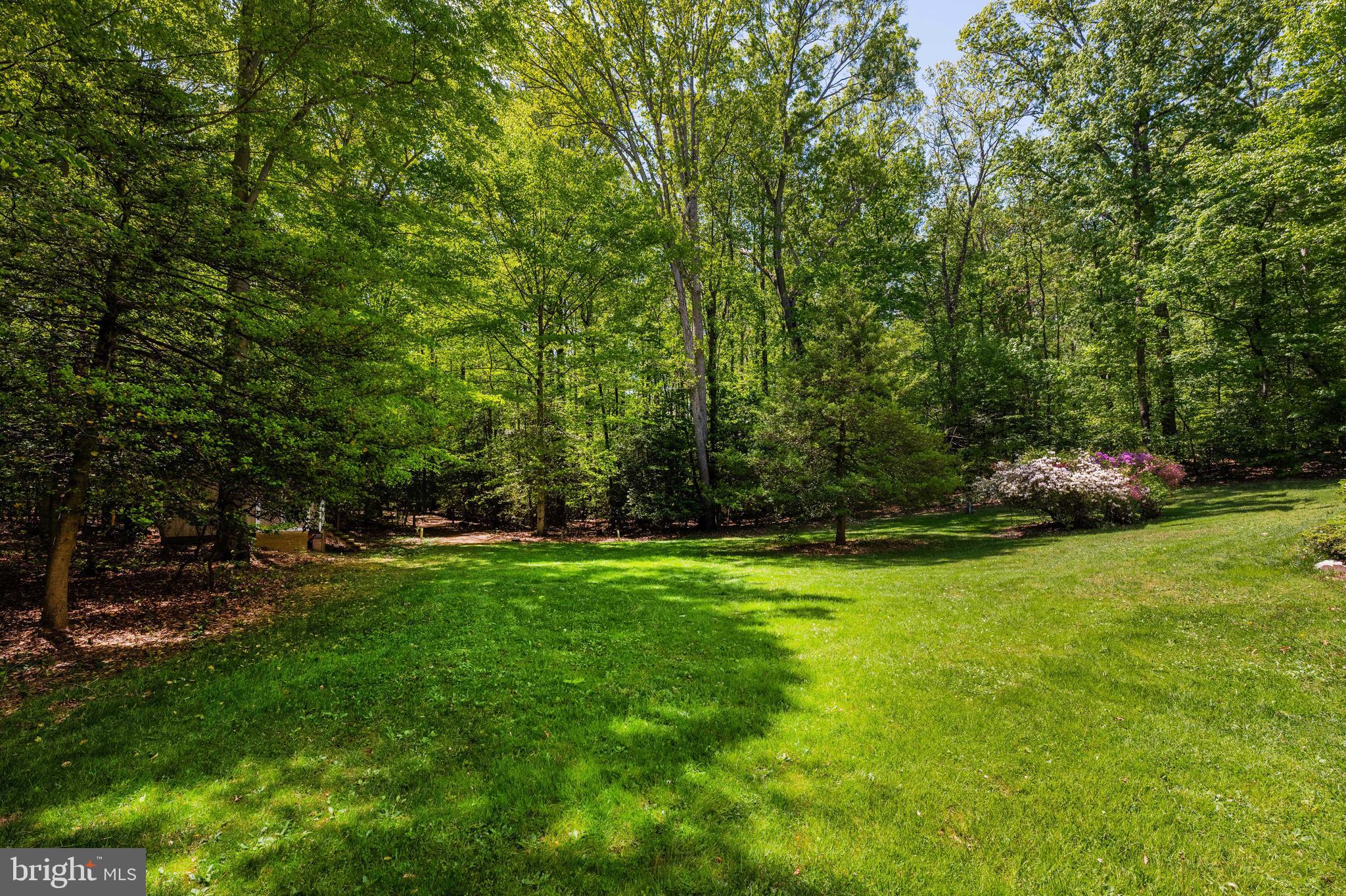 7362 Clifton Road Clifton, VA 20124 - Photo 46 of 53 a view of a park with large trees
