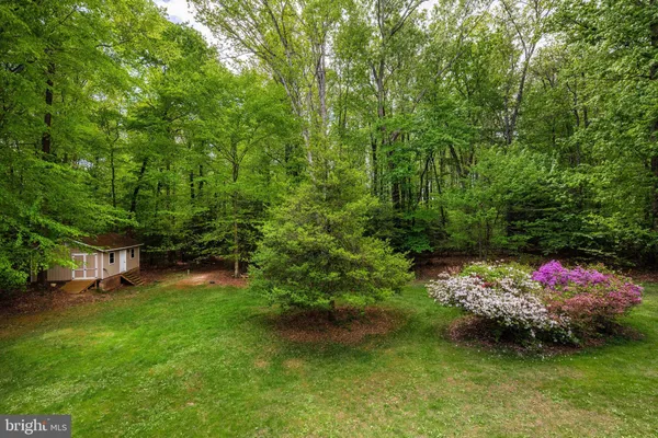 a view of a park with large trees