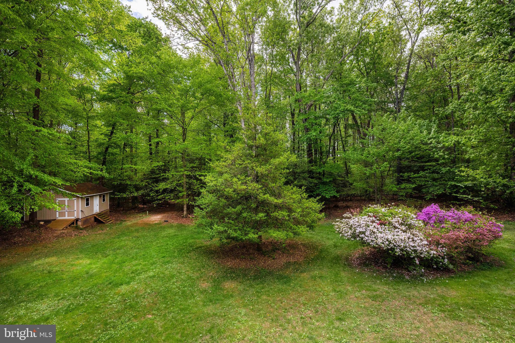 7362 Clifton Road Clifton, VA 20124 - Photo 47 of 53 a view of a backyard with a garden