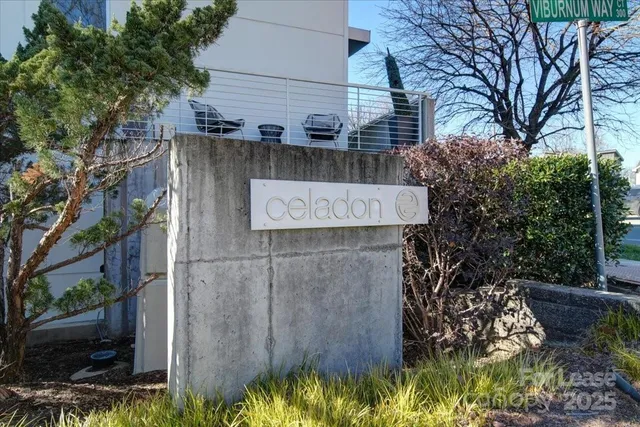 a view of a street with a tree