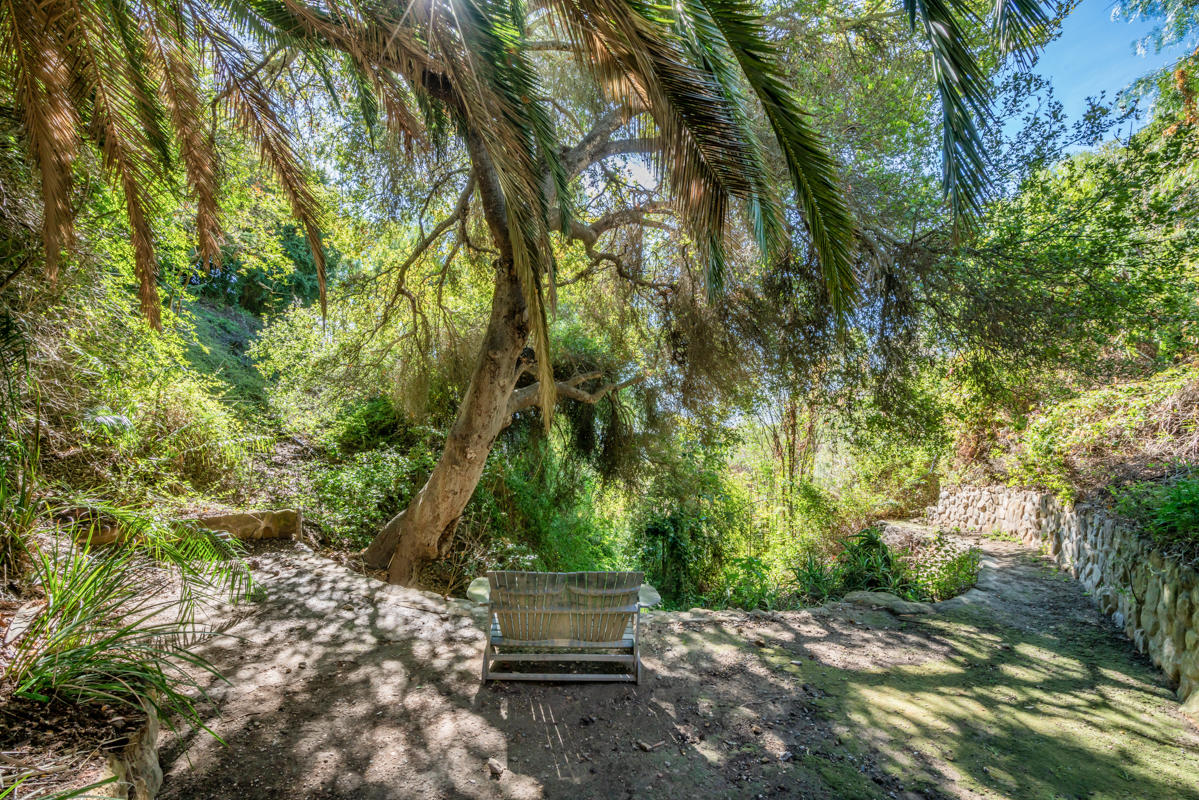 280 Loma Media Road Santa Barbara, CA 93103 - Photo 54 of 67 Lush Path - 280 Loma Media SB 93103