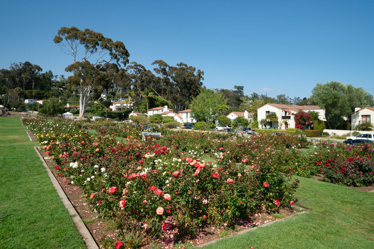 280 Loma Media Road Santa Barbara, CA 93103 - Photo 67 of 67 Rose Gardens