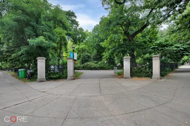 a view of a road with plants and large trees