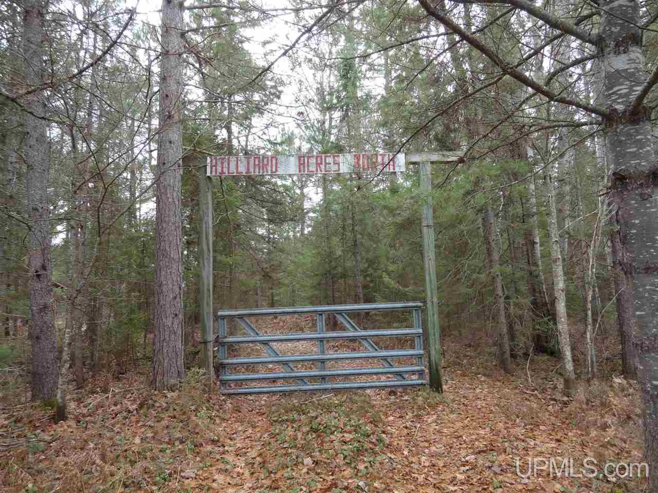 Tbd Tbd Bietala Boy Road Wetmore, MI 49895 - Photo 30 of 30