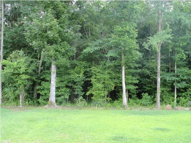 130 Old Jackson Road Goose Creek, SC 29445 - Photo 22 of 24 Additional Photo