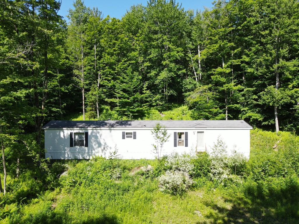 37 South County Road Florida, MA 01247 - Photo 1 of 21 a view of a big yard with plants