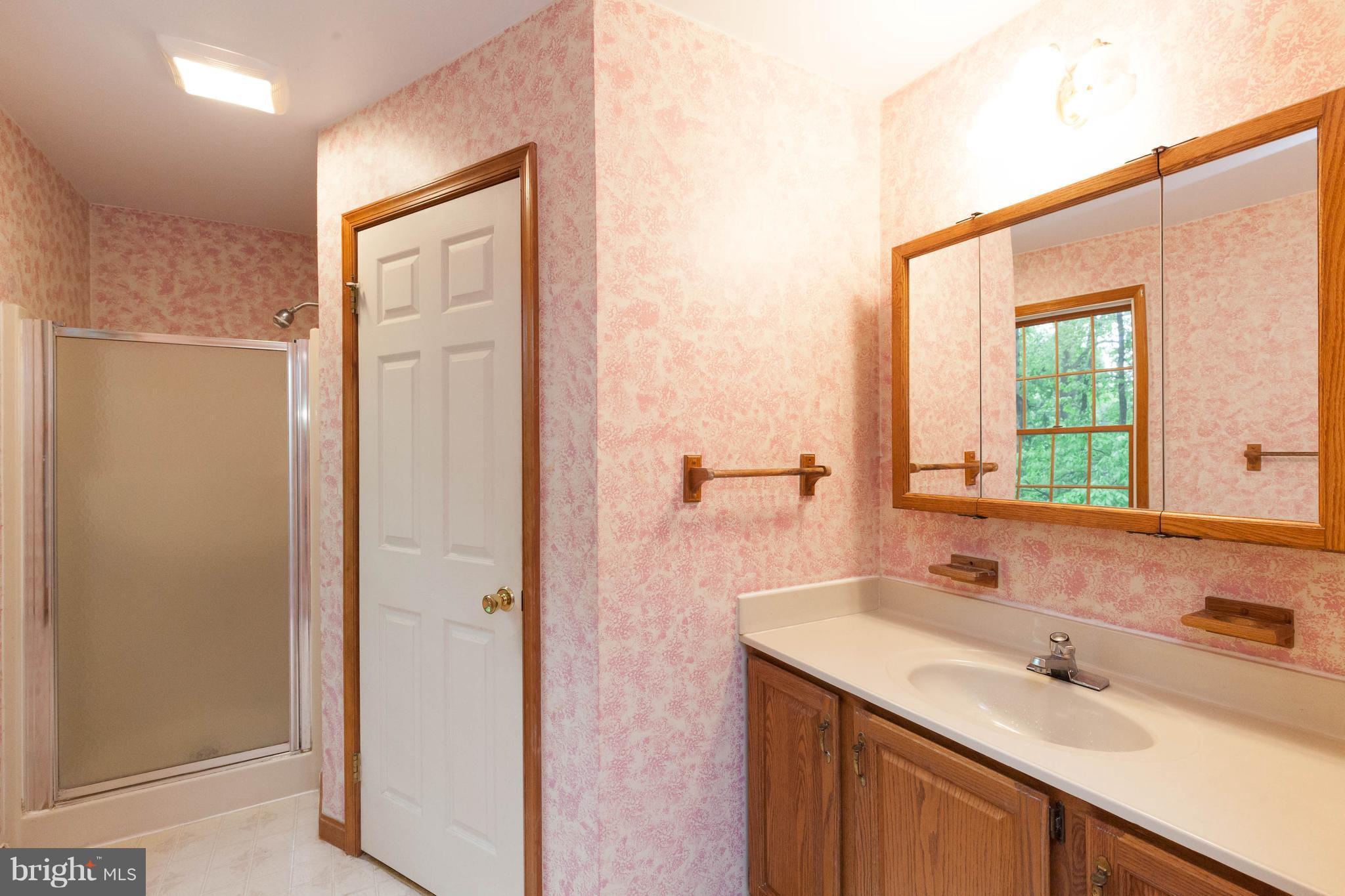 3550 Picnic Grove Road Manchester, MD 21102 - Photo 21 of 30 Master Bath