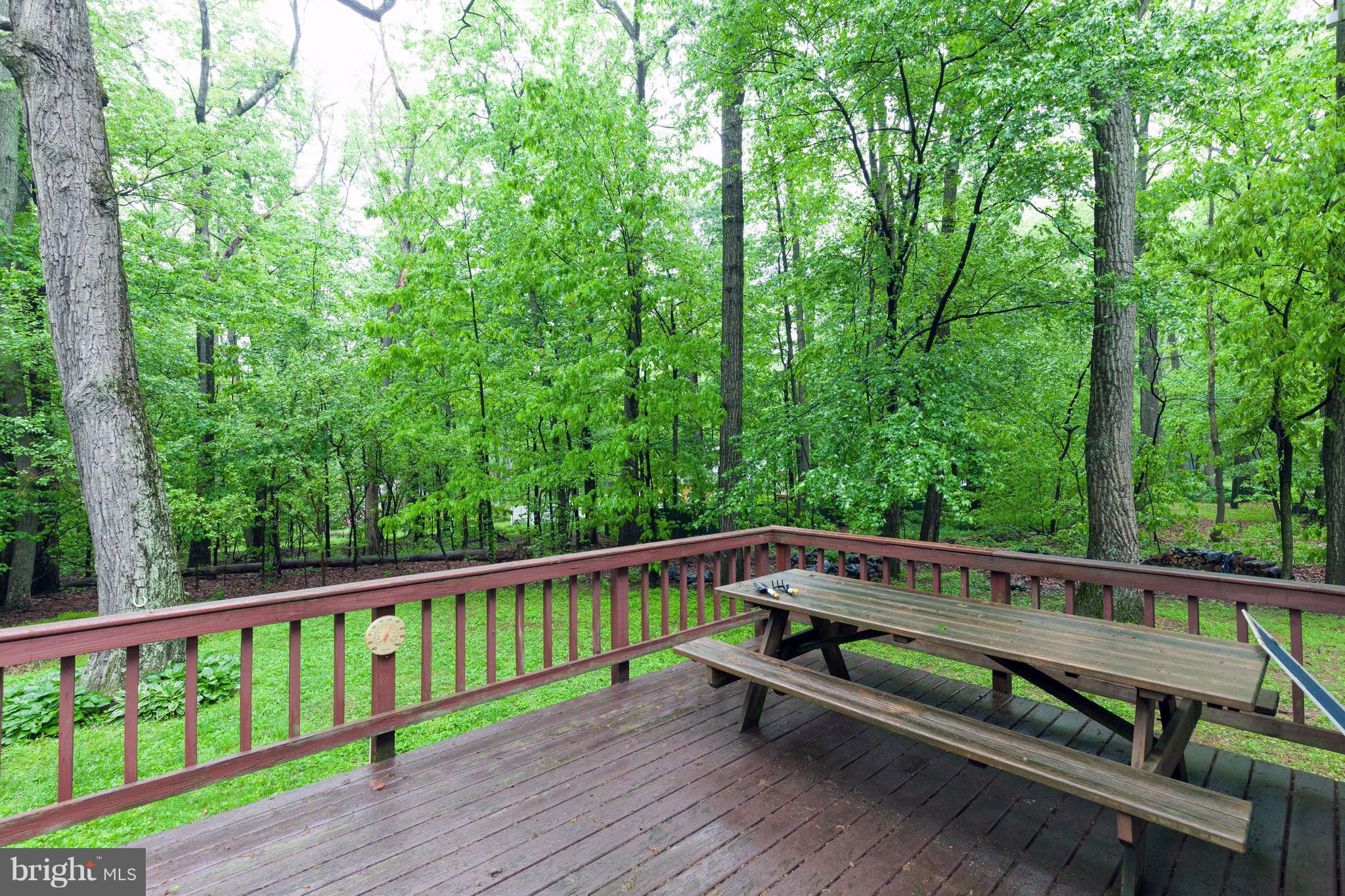 3550 Picnic Grove Road Manchester, MD 21102 - Photo 7 of 30 Deck and Backyard View 2