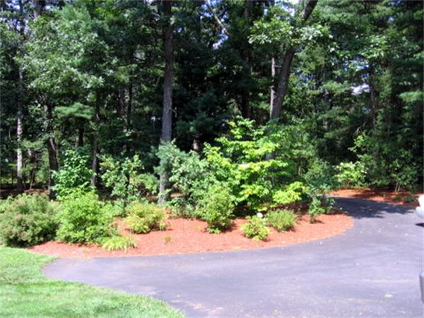 35 Easter Brook Road Lunenburg, MA 01462 - Photo 2 of 27 a view of a road with plants and a small yard