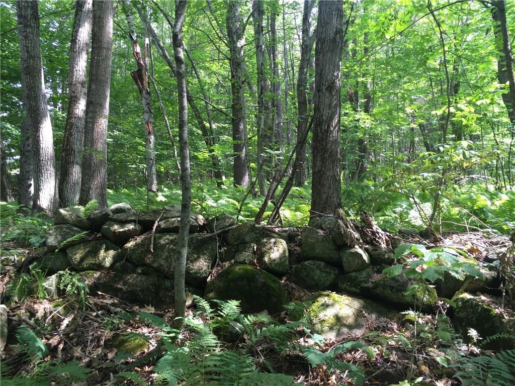 Lot 4 Spiller Hill Road Raymond, ME 04071 - Photo 10 of 20 Photo
