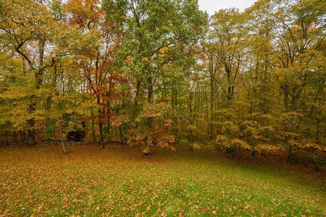 a view of patio and yard