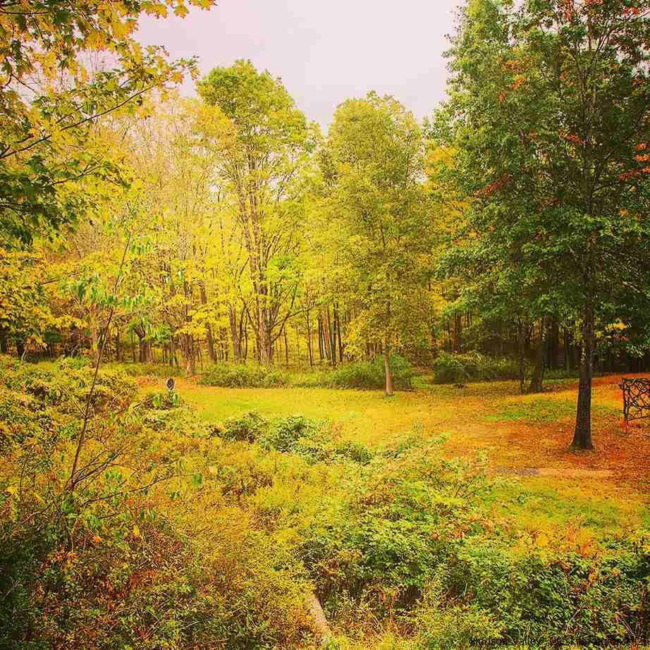 48 Ridgeview Road Kerhonkson, NY 12446 - Photo 16 of 27 Photo 16