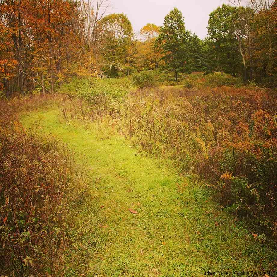 48 Ridgeview Road Kerhonkson, NY 12446 - Photo 17 of 27 Photo 17