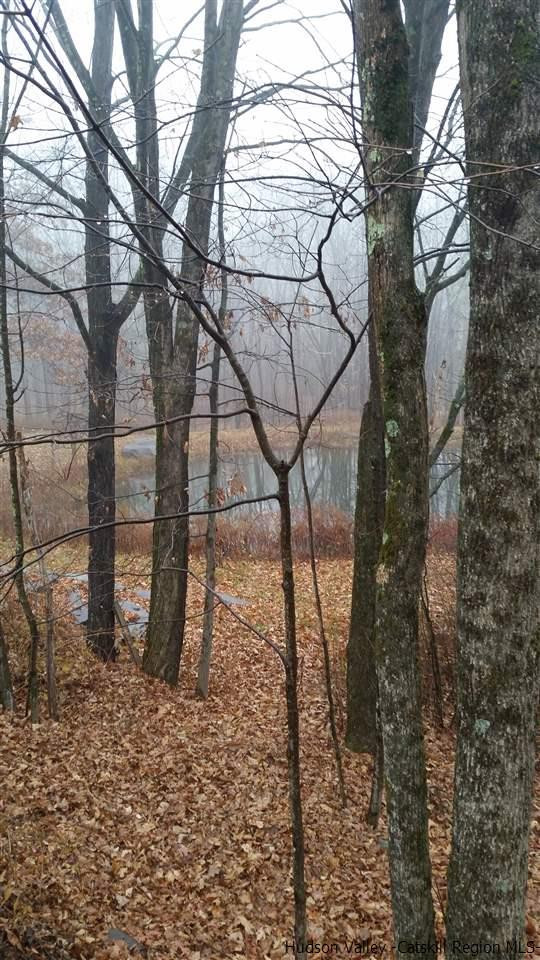 48 Ridgeview Road Kerhonkson, NY 12446 - Photo 26 of 27 Photo 26