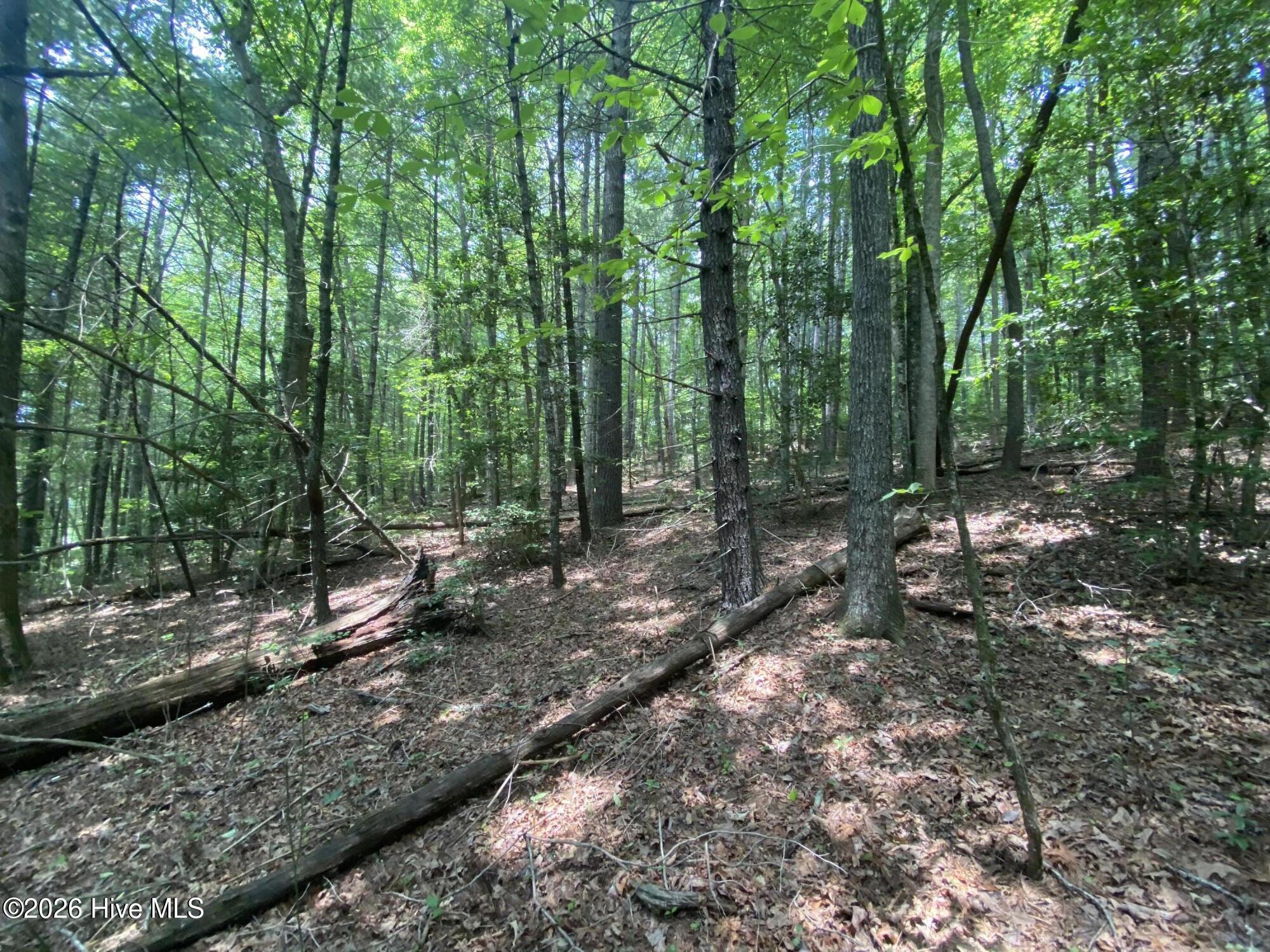 2340 Candy Mountain Road Murphy, NC 28906 - Photo 2 of 8