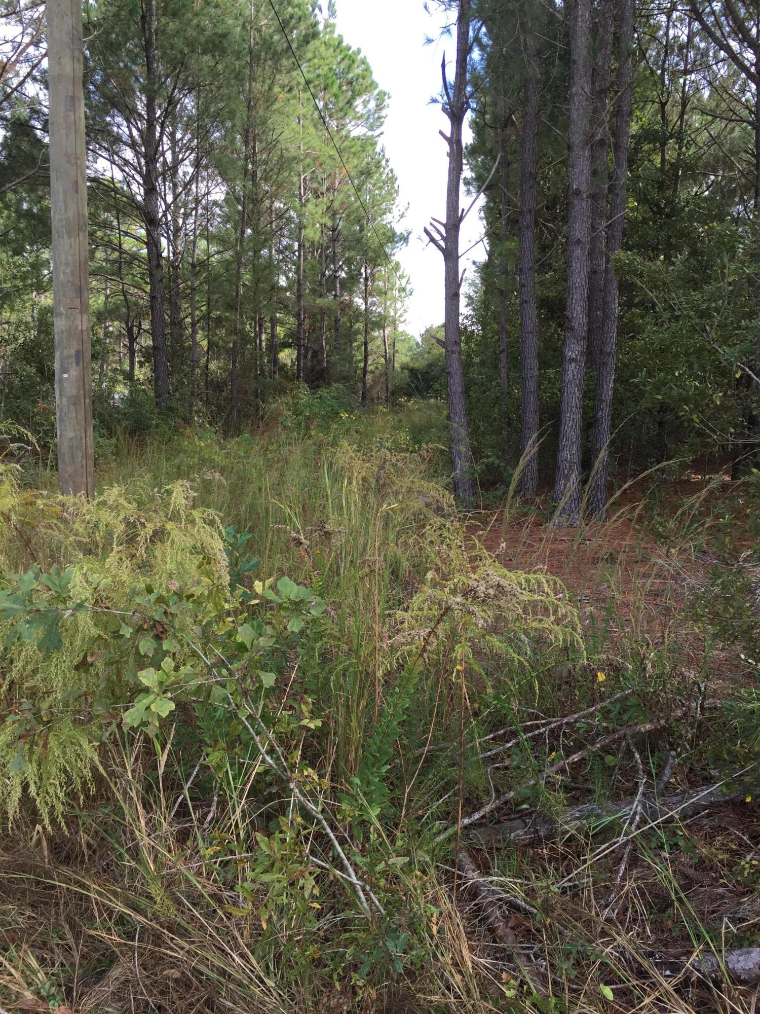Tbd Norris Cutoff Road Freeport, FL 32439 - Photo 1 of 7 image