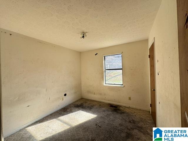 123 Oak Road Anniston, AL 36206 - Photo 7 of 22
