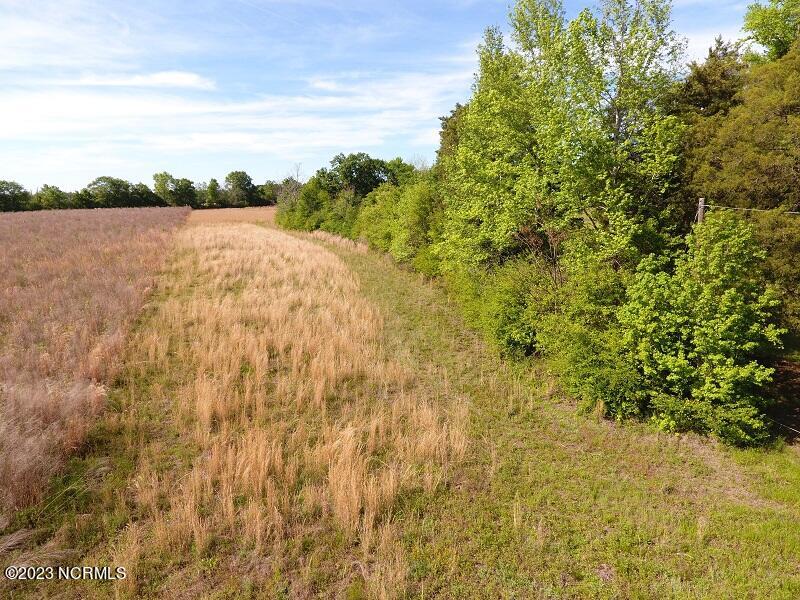 Lot #10 Oaky Point Road Latta, SC 29565 - Photo 2 of 9 IMG_1218