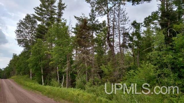 Tbd Lost Valley Road Mass City, MI 49948 - Photo 4 of 4 Gallery Image 4
