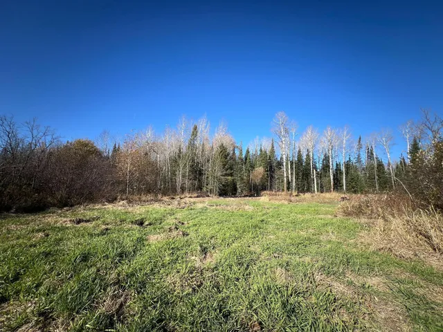 $42,000 | 8624 Zim Road, Forbes, MN 55738