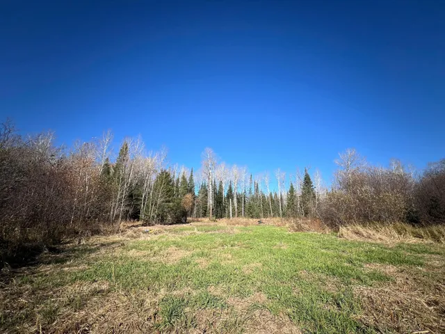 $42,000 | 8624 Zim Road, Forbes, MN 55738