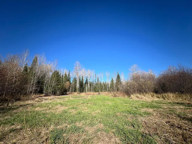 $42,000 | 8624 Zim Road, Forbes, MN 55738