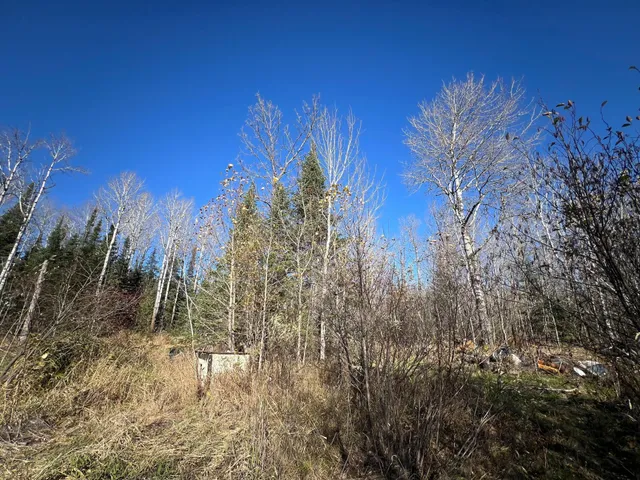 $42,000 | 8624 Zim Road, Forbes, MN 55738