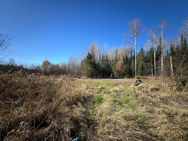 $42,000 | 8624 Zim Road, Forbes, MN 55738