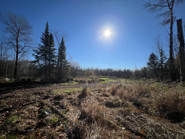 $42,000 | 8624 Zim Road, Forbes, MN 55738