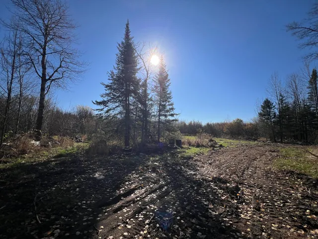 $42,000 | 8624 Zim Road, Forbes, MN 55738