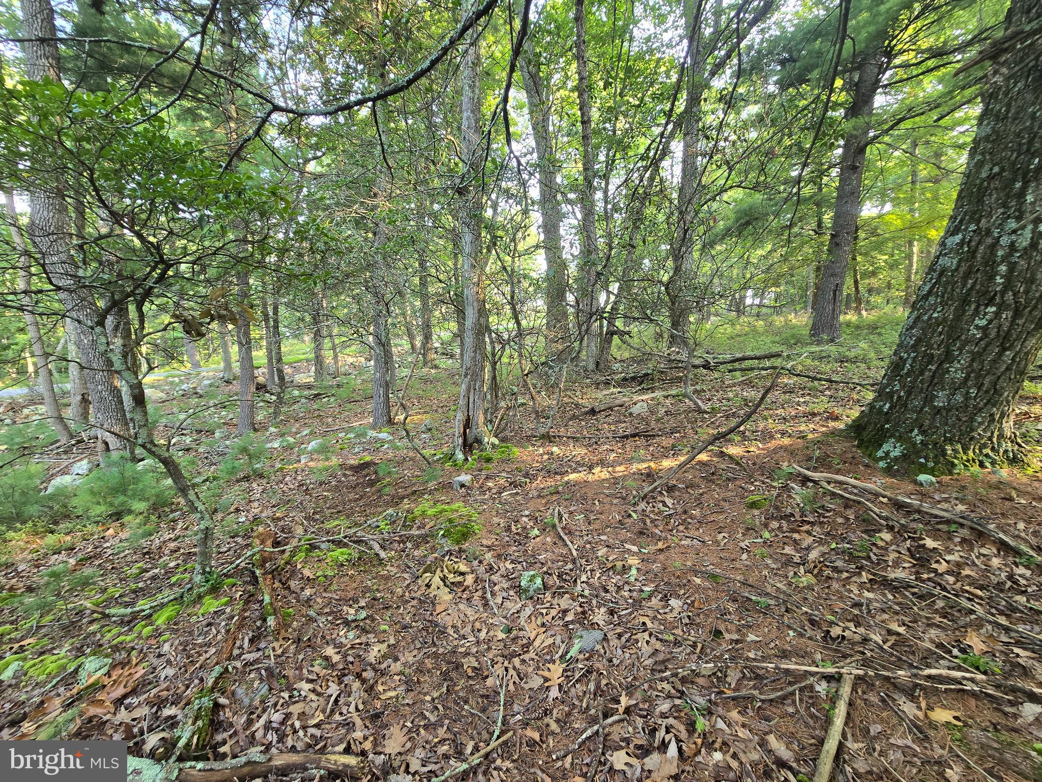Lot # Highland Ridge Franklin, WV 26807 - Photo 8 of 19 Gallery Image 8