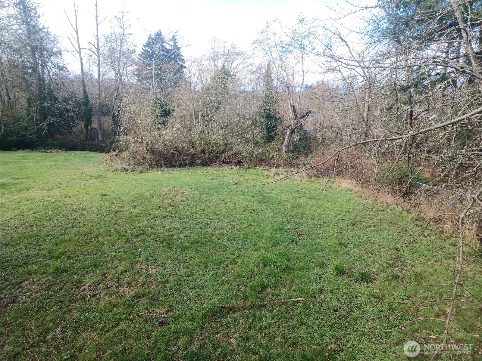 714 Union Avenue Steilacoom, WA 98388 - Photo 15 of 16 a view of a big yard with large trees