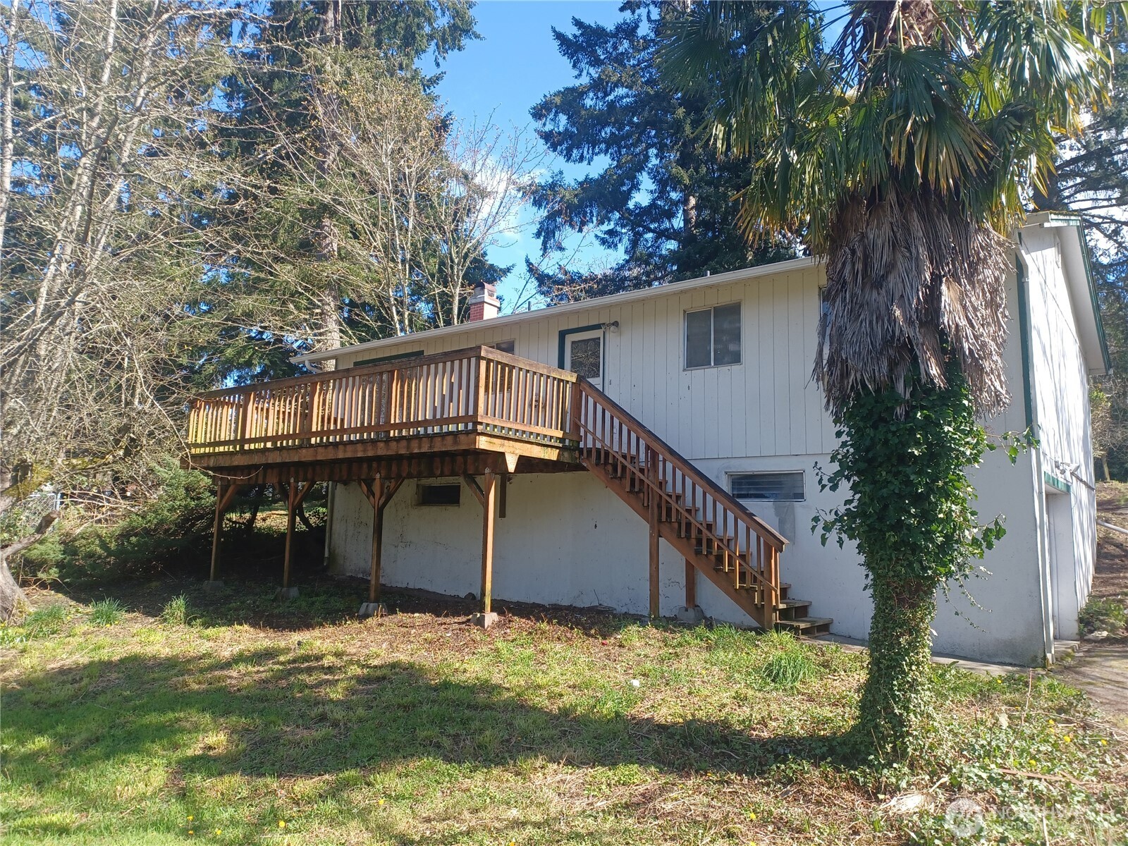 714 Union Avenue Steilacoom, WA 98388 - Photo 16 of 16 a house with trees in front of it