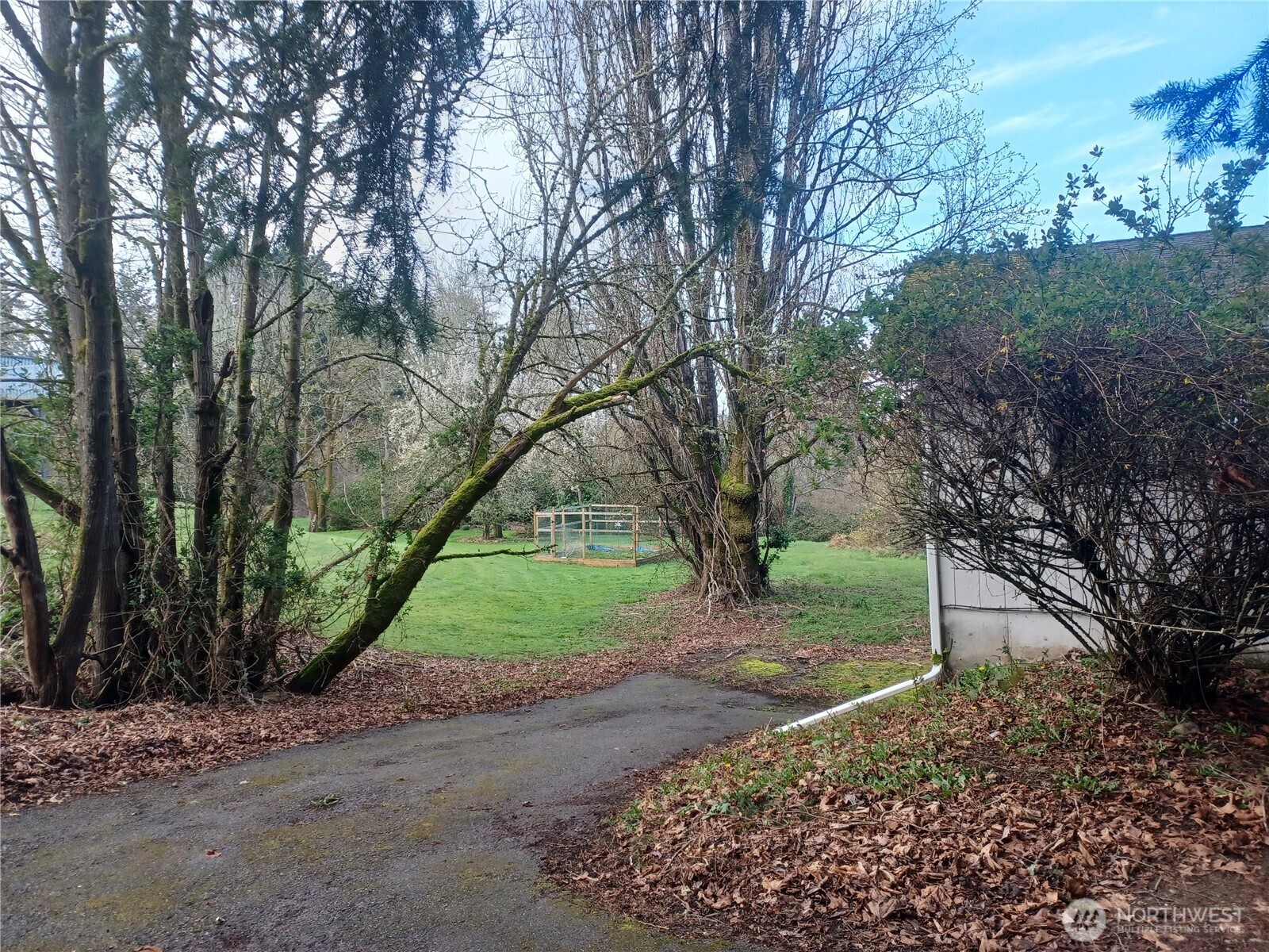 714 Union Avenue Steilacoom, WA 98388 - Photo 3 of 16 a view of a yard with plants and trees