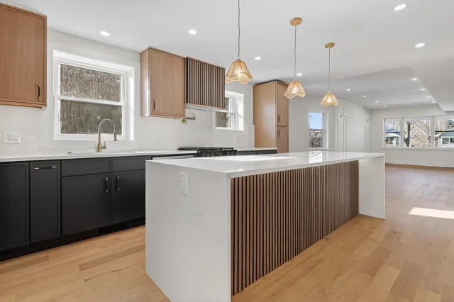 $1,150,000 | 17 Franklin Avenue, River Forest, IL 60305