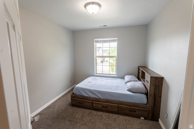 1443 West 250 North Springville, UT 84663 - Photo 19 of 23 Neutral-toned walls complement plush carpeting