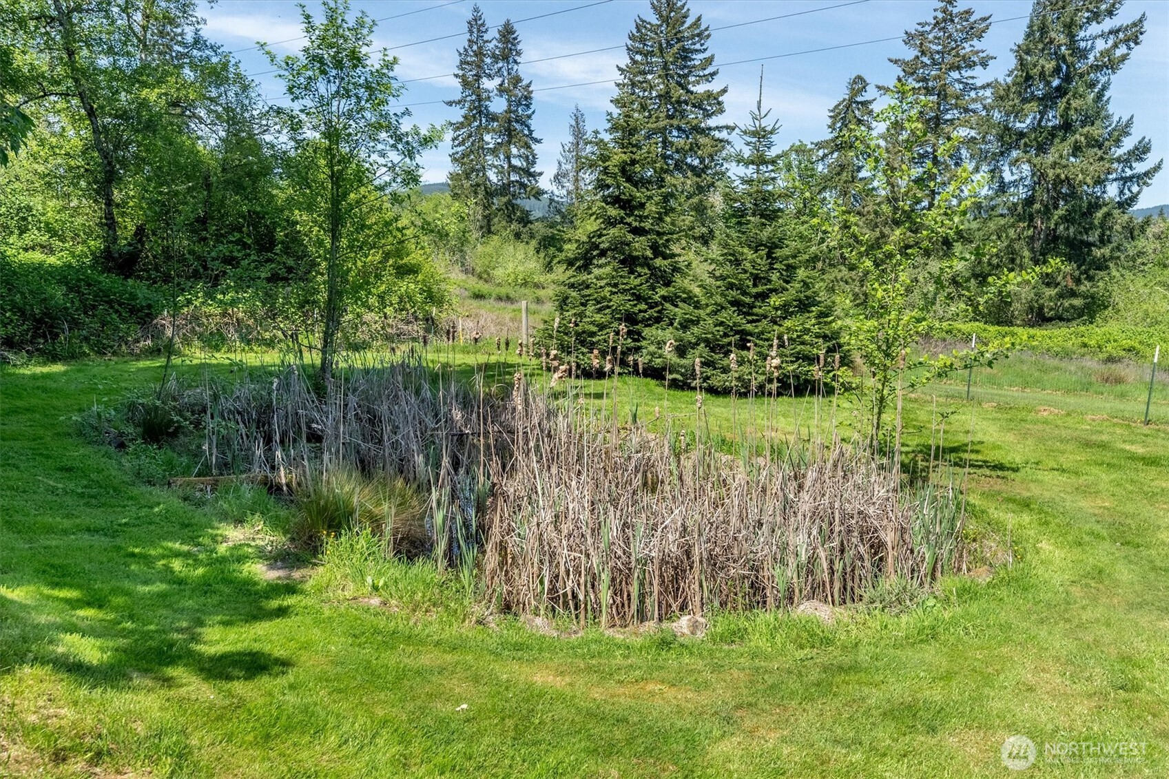 672 Walker Road Kelso, WA 98626 - Photo 28 of 40 a garden view