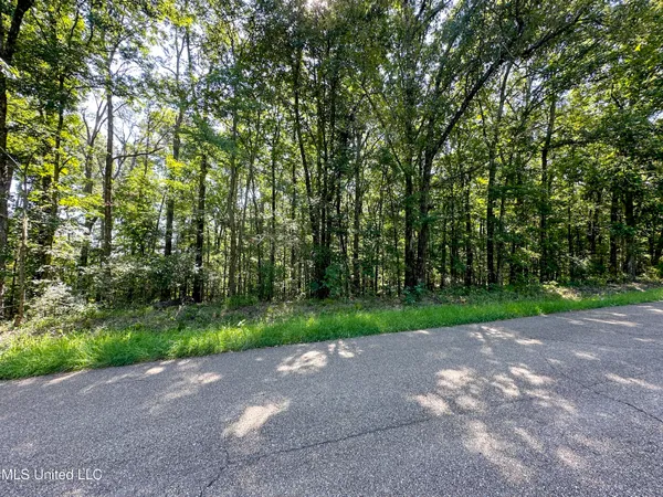 $78,000 | 0 Lakeridge Lane, Clinton, MS 39056