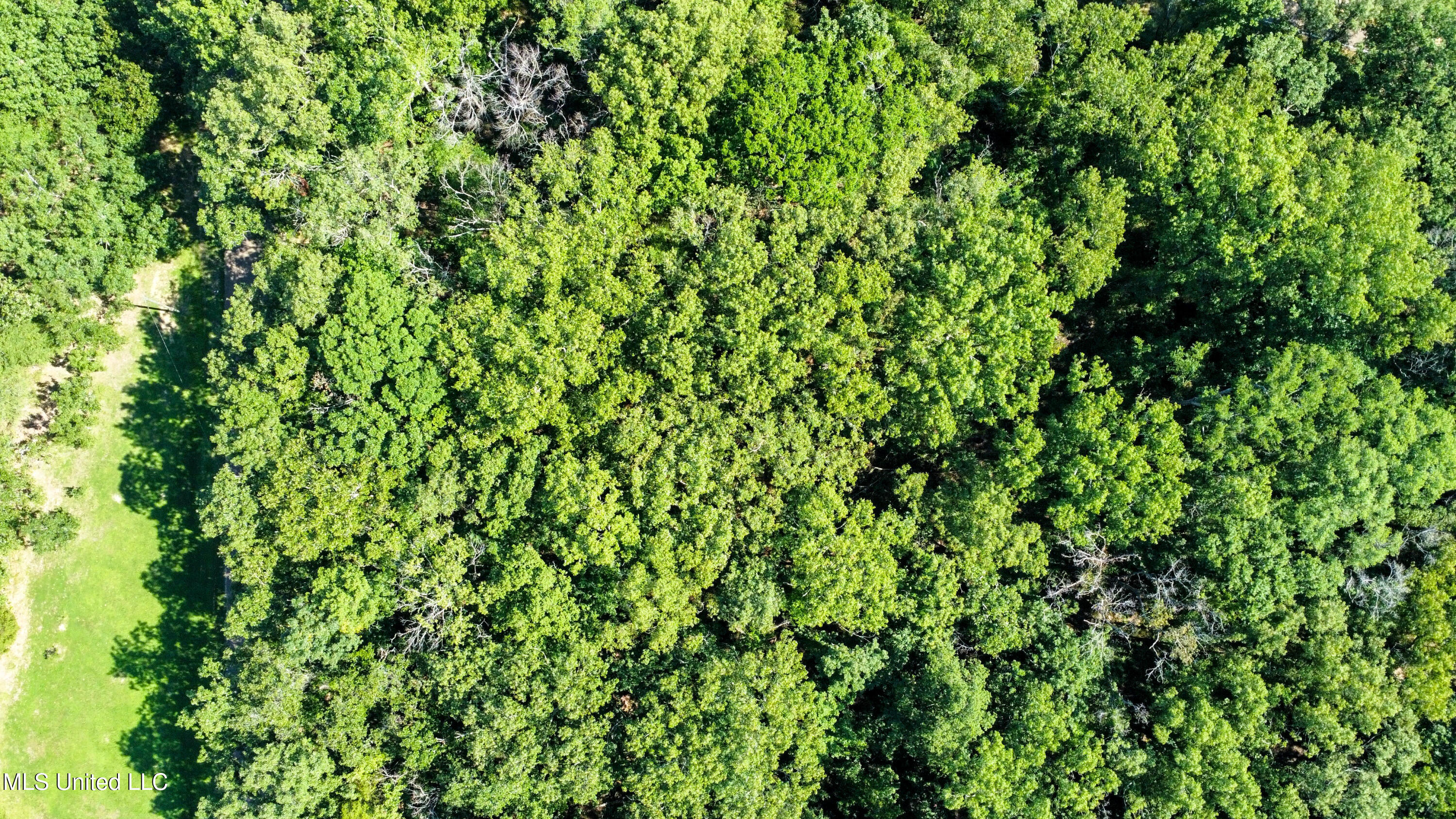 0 Lakeridge Lane Clinton, MS 39056 - Photo 3 of 4 dji_fly_20240712_095846_523_172079633507