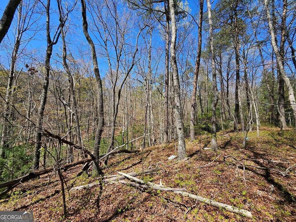 5.20 Deer Crest Road Blue Ridge, GA 30513 - Photo 11 of 66 a backyard of a house with lots of green space