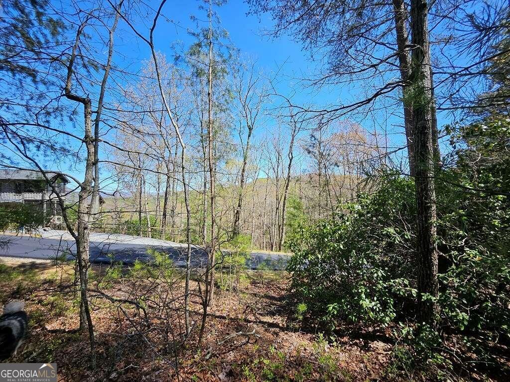5.20 Deer Crest Road Blue Ridge, GA 30513 - Photo 12 of 66 a view of backyard with swimming pool