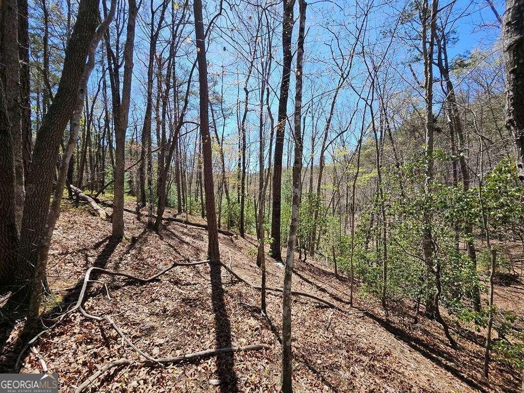 5.20 Deer Crest Road Blue Ridge, GA 30513 - Photo 14 of 66