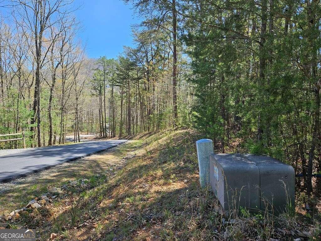 5.20 Deer Crest Road Blue Ridge, GA 30513 - Photo 20 of 66 a view of outdoor space and yard